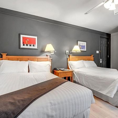 Motel Lévis エクステリア 写真